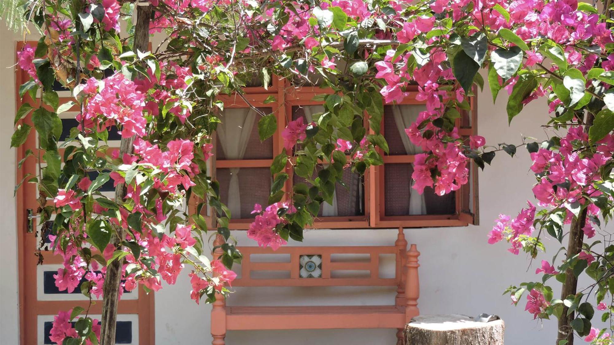 Paje By Night Bungalows Bagian luar foto